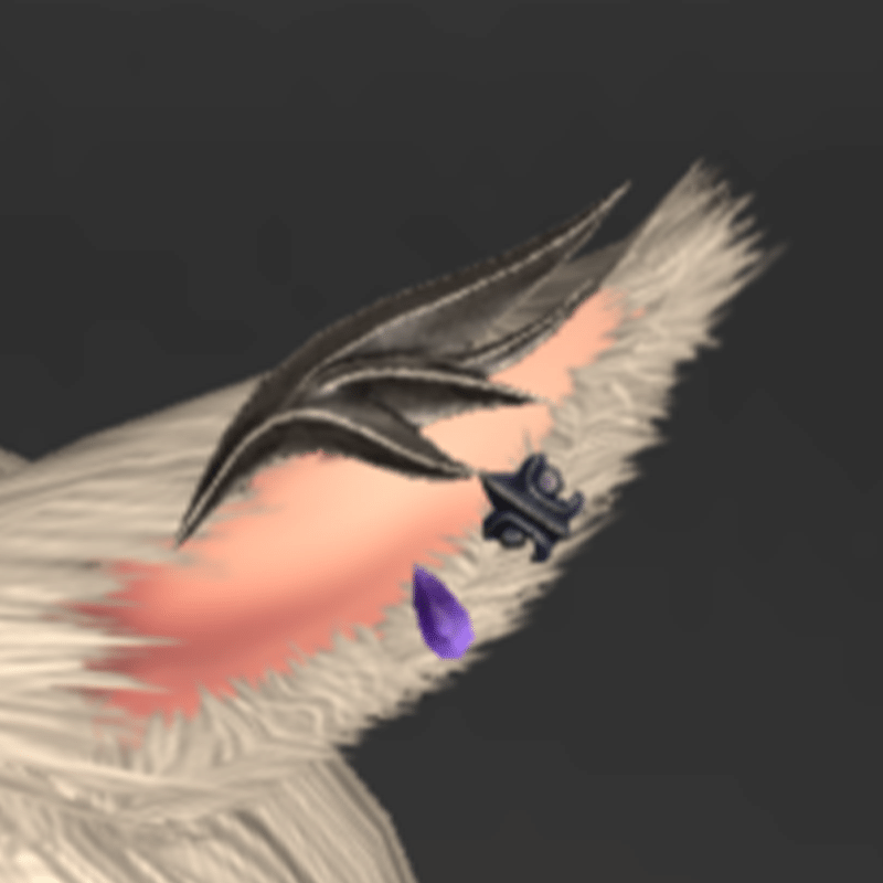 Ff14 Level81 アクセサリーの見た目一覧 Ff14 ゆんのぼうけん